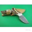 OEM Damascus Steel Hunting Knife Camping Accessory with Antler + Brass Handle  UDTEK01307