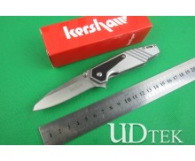 Kershaw small Woodpeckers steel grey version folding knife UD402019