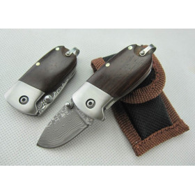 ACID BRANCH VERSION OEM DAMASCUS STEEL MINI QQFOLDING KNIFE UDTEK00544 