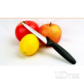 Stainless steel fruit knife plastic handle paring knife UD18008