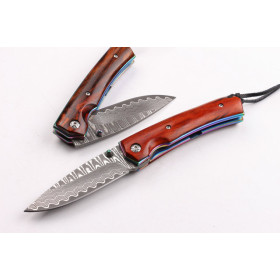 Damascus Fantasy horses folding knife UD403397