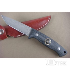 Damascus collection knife Dragon Will (F101) UD40747