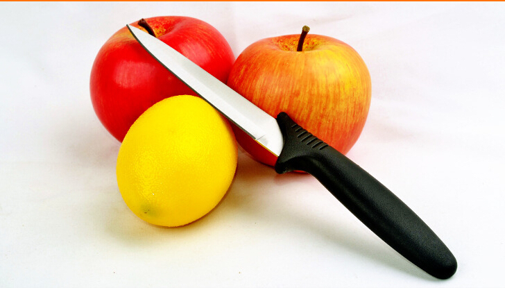 stainless steel fruit knife plastic handle paring knife ud18008